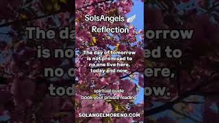 #solsangels #spiritualawakening #evolution #motivation #spiritualguide #angeloracle #tarotreading