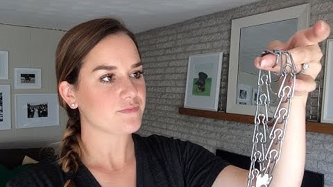 Prong Collars: The Incredible K9