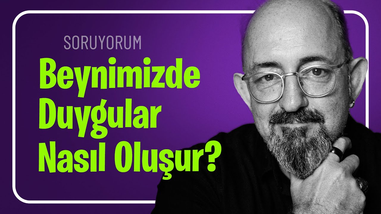 Beynimizde Duygular Nasıl Oluşur? I SoruYorum