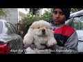 Dog Market Punjab || Amritsar Dog Market || Scoobers