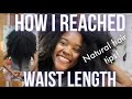 How to Grow Waist Length 4c Natural Hair (My Hair Journey, Current Routine, Products)