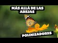 Más Allá de Las Abejas 🐝🤔 #naturaleza #abejas