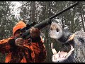 Domuz Avı. (cazals) Wild boar hunt. Chasse au sanglier. Turkey in Çanakkale