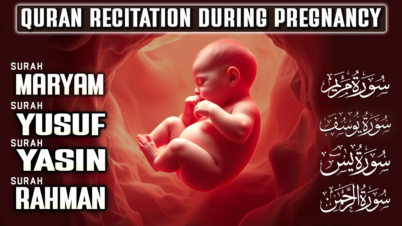 Quran Recitation For Pregnancy ( MUST LISTEN ) Surah Yusuf, Maryam, Yasin, Rahman | Only -Holy Quran