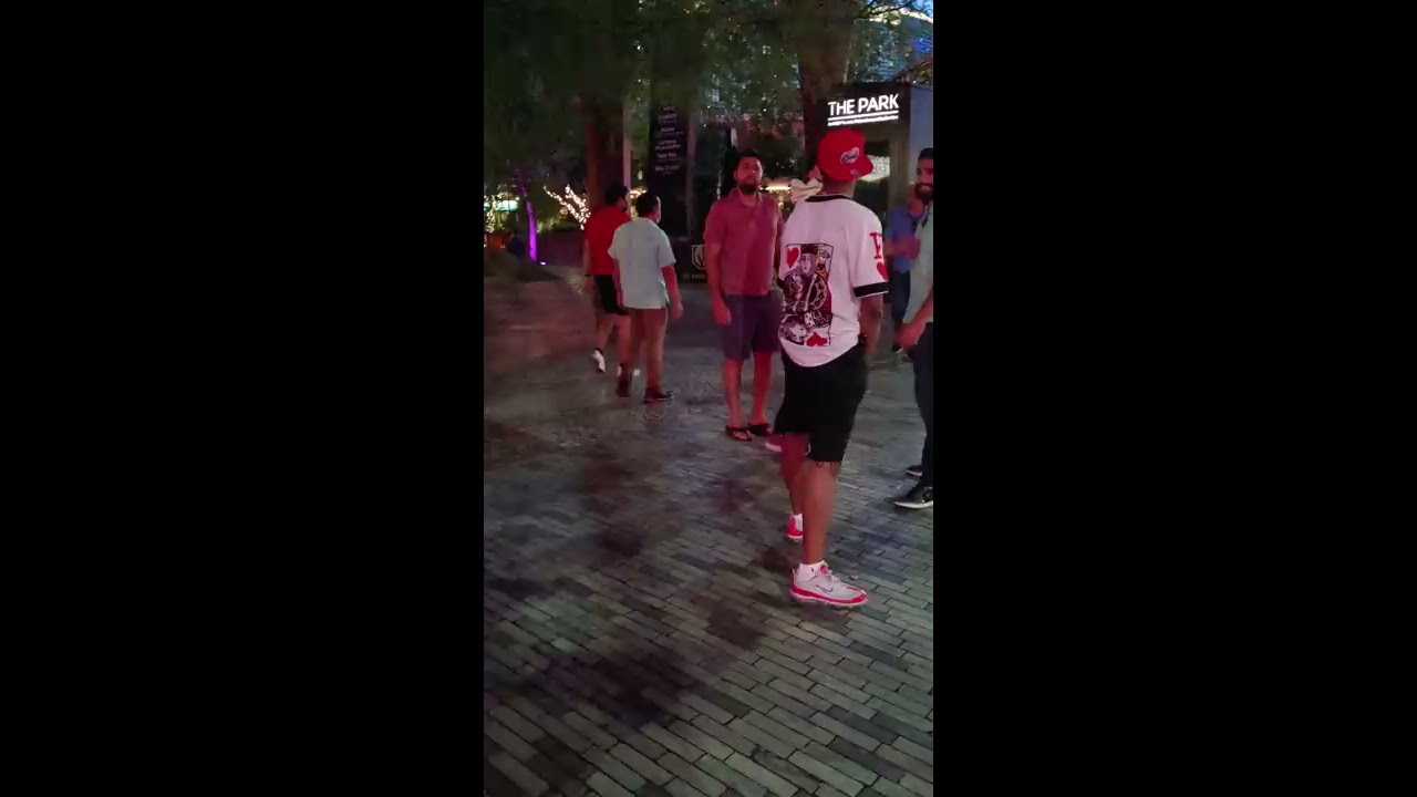 Las Vegas Street Fights