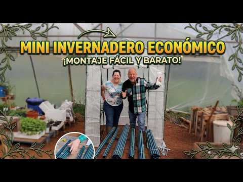 🎬 Video relacionado con invernaderos inflables