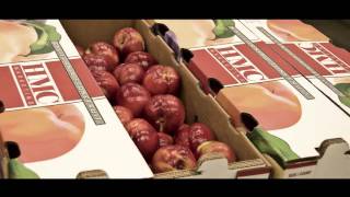 California Association of Food Banks Farm to Family