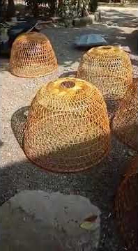 kurungan ayam thailand