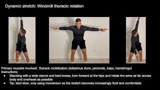 Dynamic stretch: Windmill-thoracic mobilization