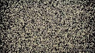 Mario Trevi O Benzinaio