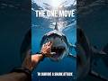 How to Survive a Shark Attack in One Move?