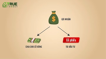 TẠI SAO CỔ PHIỂU LẠI GIẢM KHI TRẢ CỔ TỨC - HỌC CHỨNG KHOÁN CƠ BẢN CÙNG TRUE INVEST