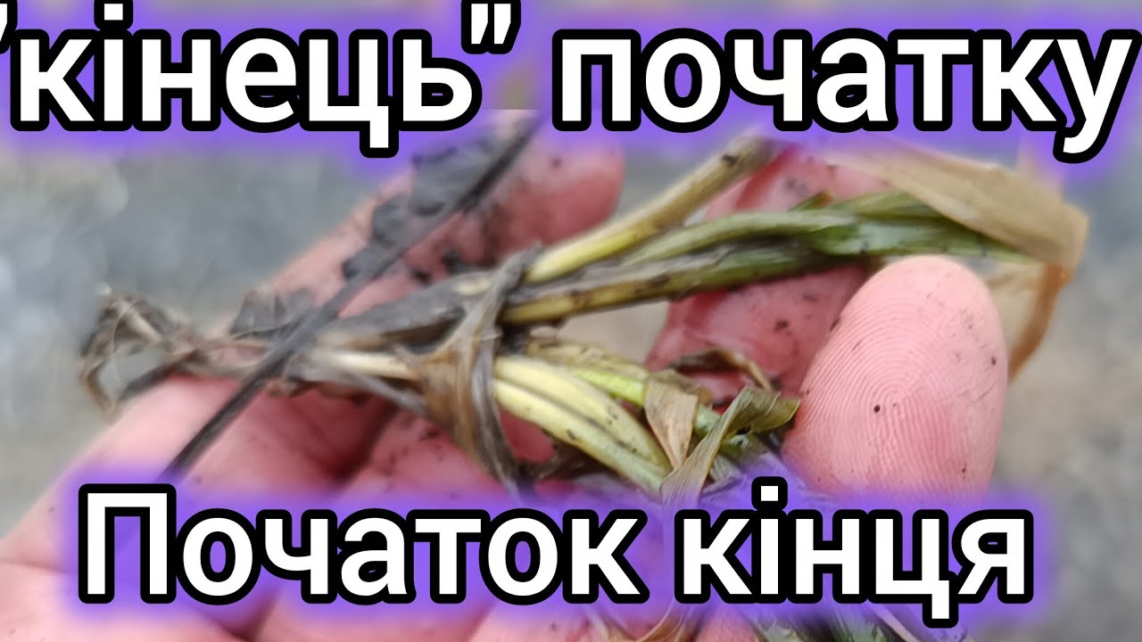 24.02.26. Це кінець, всім нашим очікуванням. Чи початок нашого кінця.🤔