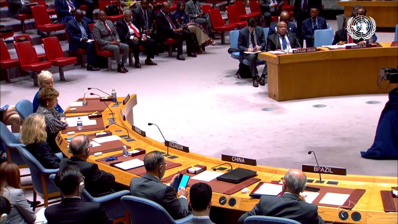 UN Special Rep. briefing to the Security Council on Security and ...