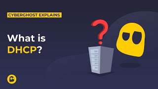 What is DHCP | CyberGhost VPN Glossary
