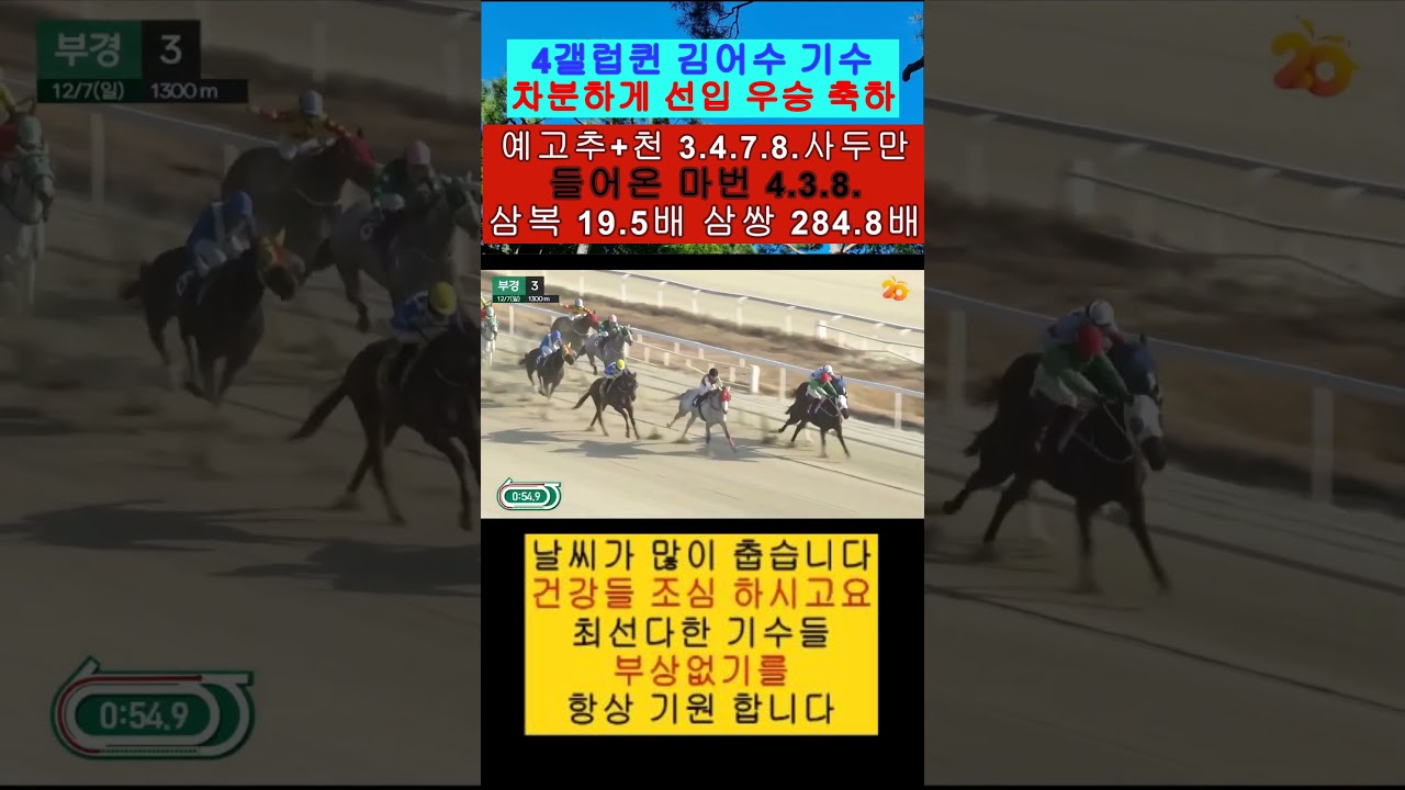 #경;마# 일요 예고추+천 284.8배 삼쌍.들어오는 영상보기