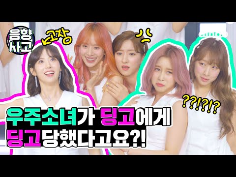 우주소녀가 🦋나비춤🦋을 추면 딩고는 딩고짓을 하지🎶ㅣ딩고뮤직ㅣDingo Musicㅣ우주소녀(WJSN) - Butterfly l Roller coaster Dance
