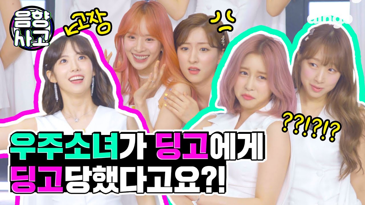 우주소녀가 🦋나비춤🦋을 추면 딩고는 딩고짓을 하지🎶ㅣ딩고뮤직ㅣDingo Musicㅣ우주소녀(WJSN) - Butterfly l Roller coaster Dance