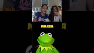 Kermit Said HI 🥒… And Things Got Weird 💀🐸
