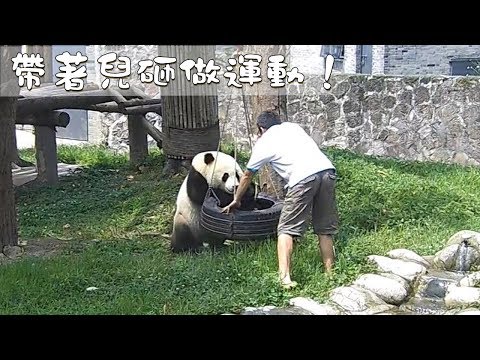 《熊貓早晚安》帶著兒砸做運動！ | iPanda熊貓頻道
