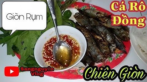 Đi Câu Cá Rô Đồng Làm Món Cá Rô Chiên Giòn - Quá Ngon!!!