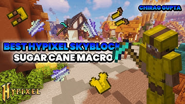 BEST HYPIXEL SKYBLOCK SUGARCANE MACRO
