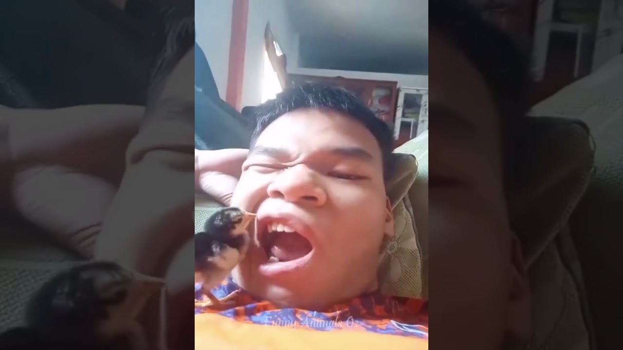 Welcome to our comprehensive video channel