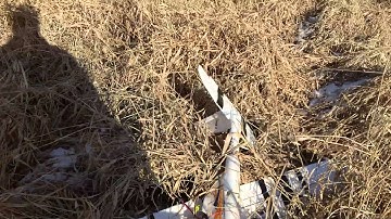 Last Flight of the Bix3