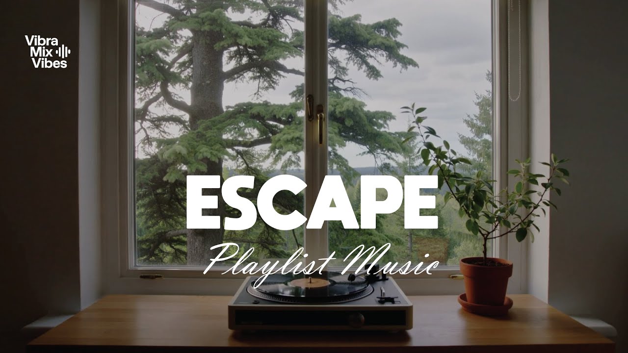 Lofi Indie Escape |🌳 Vinyl in a Forest Window | Chill Music to Slow Down & Refocus