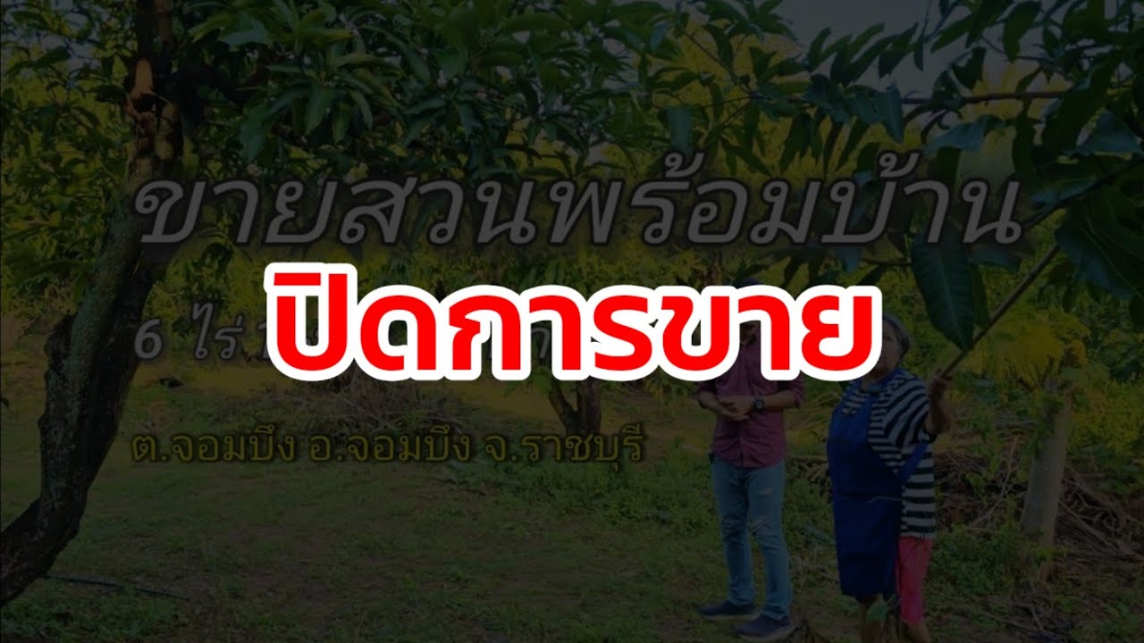 🔴 ปิดการขาย สวนมะม่วงพร้อมเก็บเกี่ยวผลผลิต พร้อมบ้านพัก และสวนผสมผสาน  ต.จอมบึง อ.จอมบึง จ.ราชบุรี
