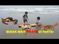 BUDAK BERMAIN PASIR DI PANTAI SYAHBANDAR RESORT SABAH