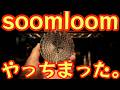 【soomloom新作が過去一の問題作！？】ついに出てしまった…あれの1/5価格でULクッカーが発売。本家と徹底比較ガチ検証した結果が…【キャンプ道具】【ULギア】【登山】#990