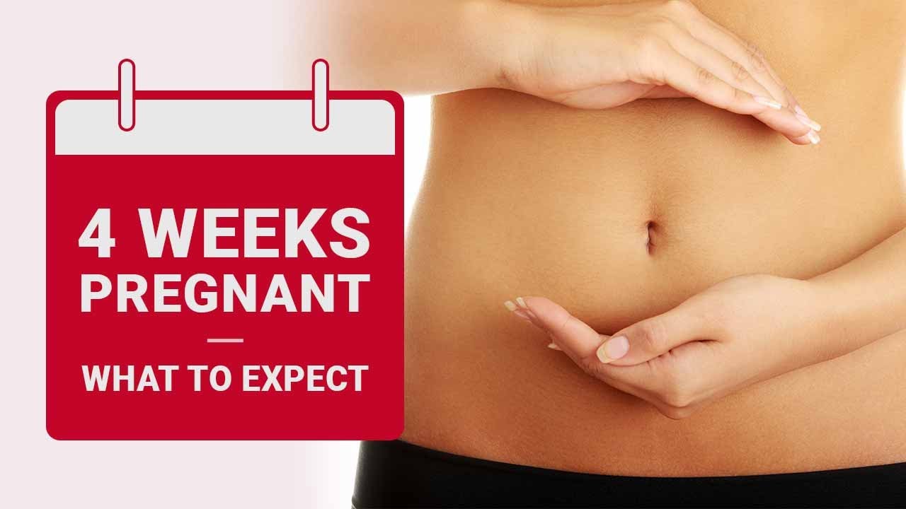 4 Weeks Pregnant What To Expect Youtube