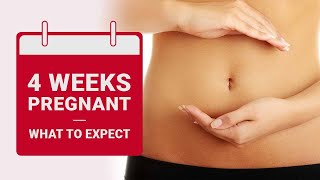 4 Weeks Pregnant - What to Expect