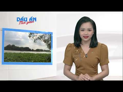 Video DẤU ẤN NỀN VĂN HÓA ÓC EO CỔ ĐẠI - THÁP CỔ CHÓT MẠT |... - youtube