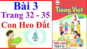 Tiếng Việt Lớp 3 Bài 3 | Con Heo Đất | Trang 32 - 35 | Cánh Diều