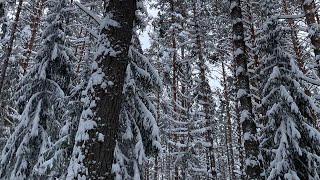 Разгребаем снег!Долгожданная покупка.