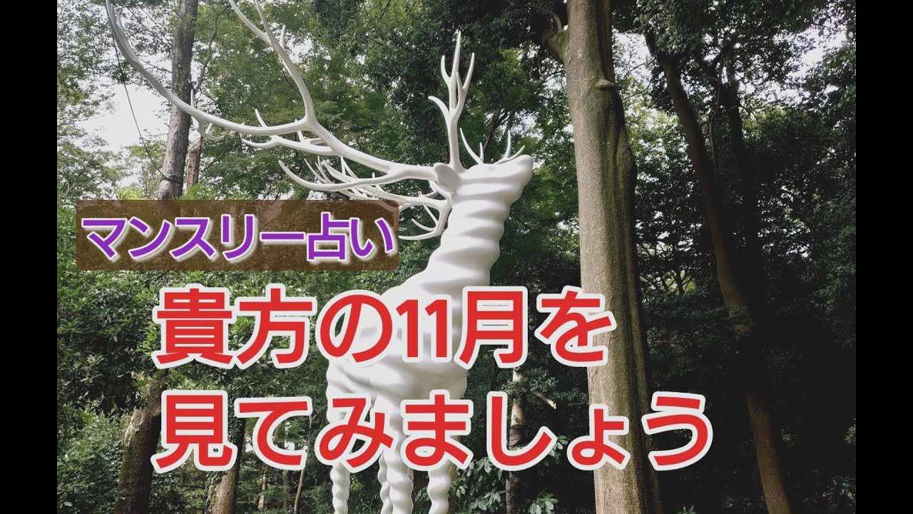 貴方の11月を見てみましょう マンスリー占い タロット Youtube