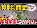 【目からウロコ】家庭菜園で使える100均グッツ【とてもお得】
