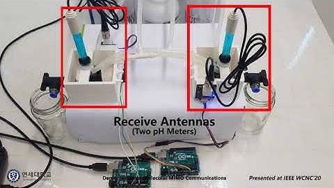 In-Vessel Molecular MIMO Communications
