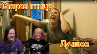 картинка: Старая птица. Лучшее. feat. Jiskiran #1 | @Jiskiran @maruseyro 