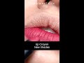 Lip crayon new shades lip swatches