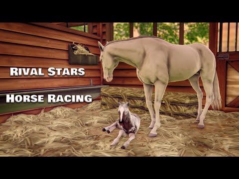 Rival Stars Horse Racing. Офигенный серый жеребенок! Создаю своего Real Dream в игре!