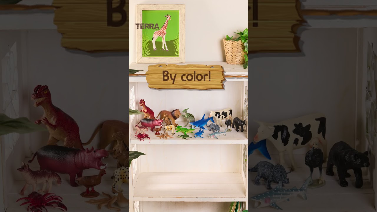 Shelf Organization with Terra!  