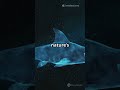Shark Electroreception: Their Secret Sixth Sense 🦈⚡😱 #Shorts #Facts | Zero Facts