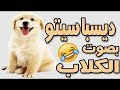 أغنية ديسباسيتو بصوت الكلاب ههههه 