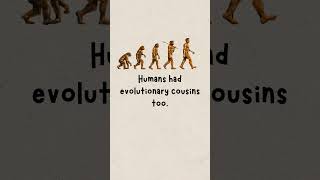 The Species That Lost #facts #human #evolution #biology #explained #earth #science #history