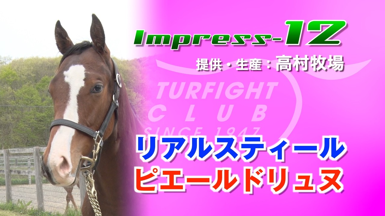 Impress 12 (1-Year-Old Filly, Real Steel / Pierre de Lune) 2026