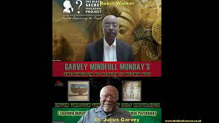 How To Africanize The Teaching Of Seeing Ourselves Pan Africanism Today Ep 54