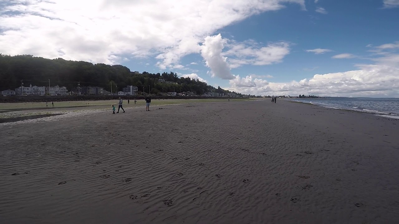 Alki Beach Low Tide Walk 3ft Tide YouTube